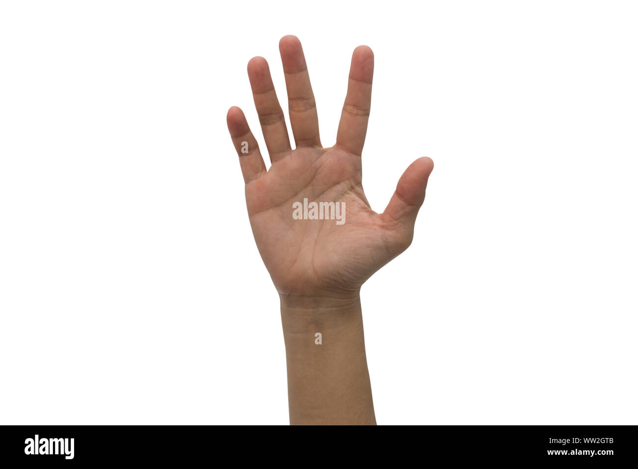One hand raised high up isolated on white background. Stock Photo