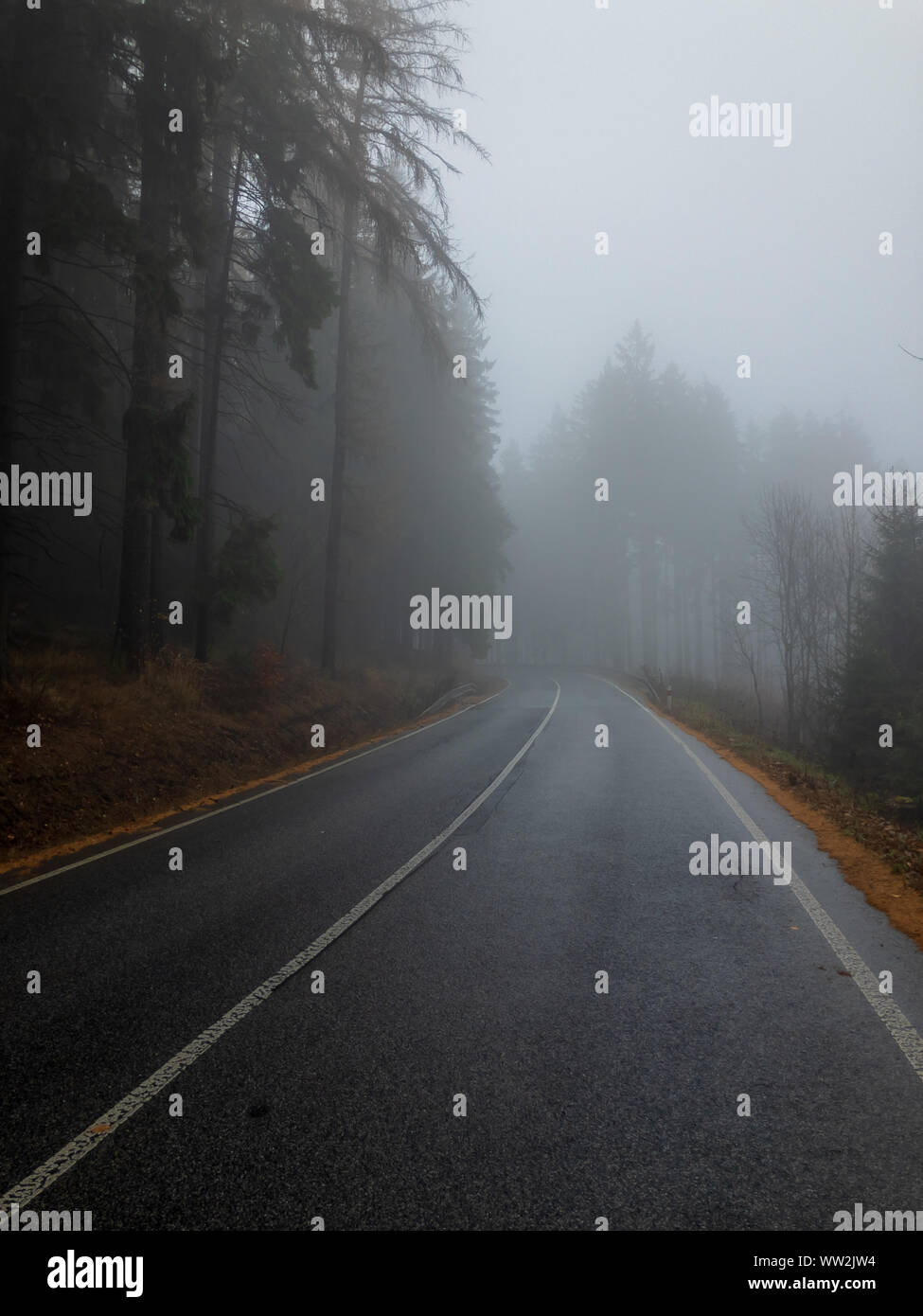 Asphalt road in autumn forest hi-res stock photography and images - Alamy