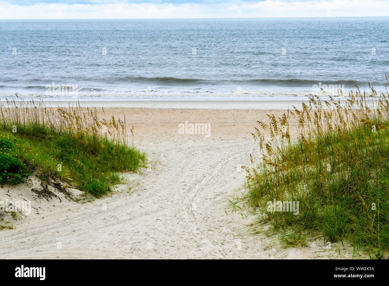 Beach and natural sea oats on the beach in Amelia Island, Florida Stock Photo