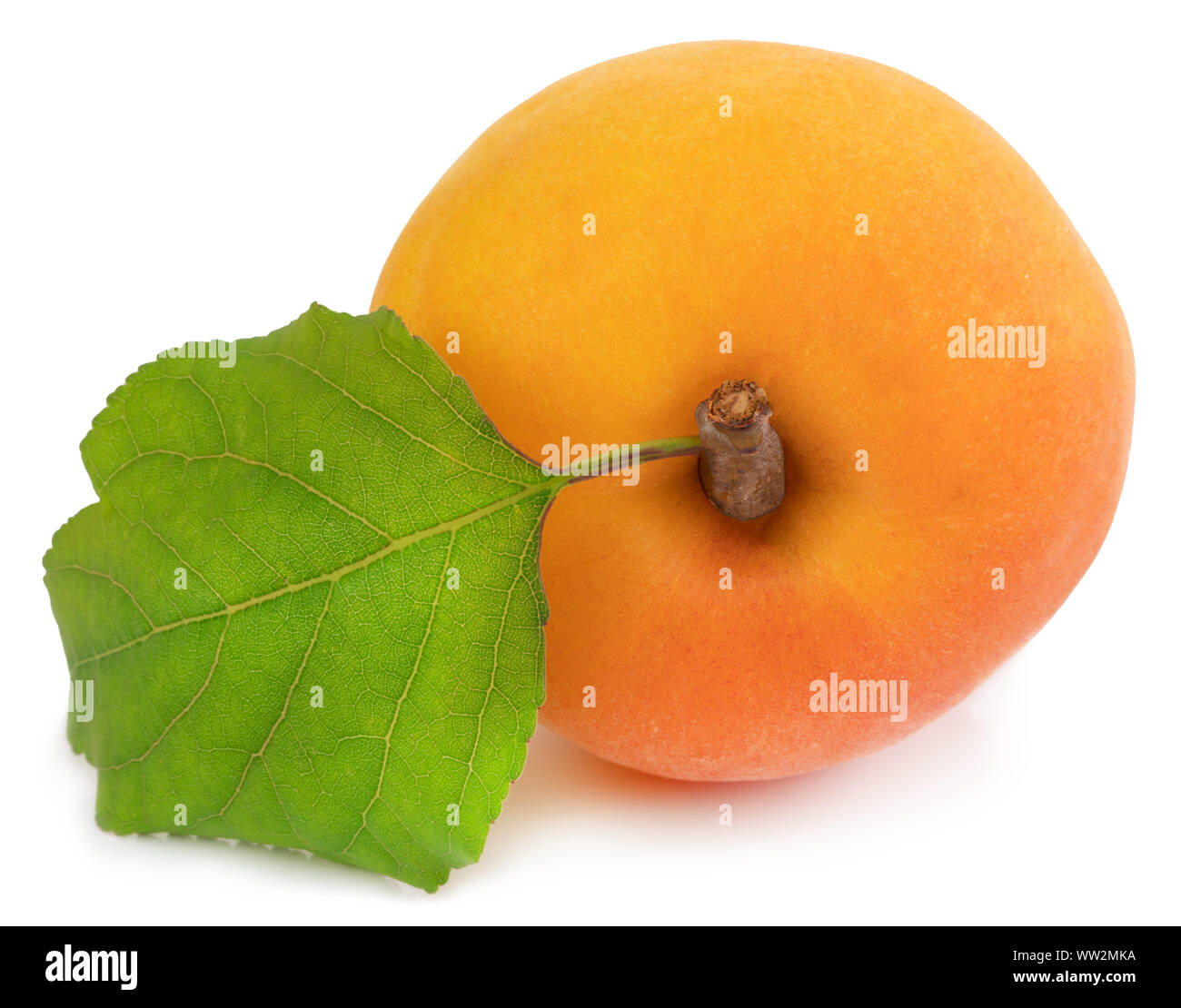Apricot isolated on white background. Clipping Path Stock Photo - Alamy
