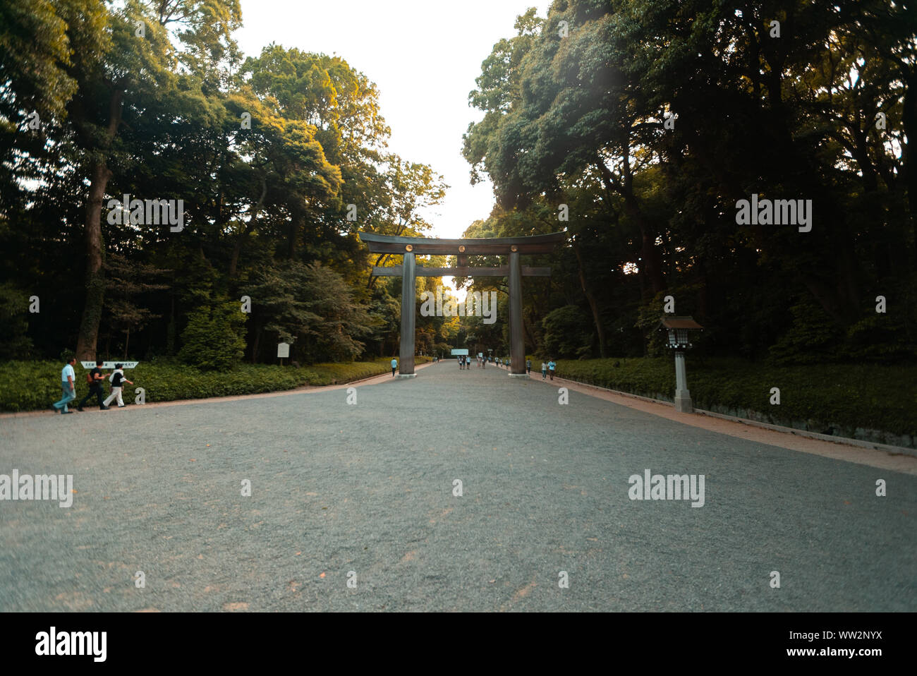 Torii gate at Meiji Jingu shrine in Tokyo Stock Photo