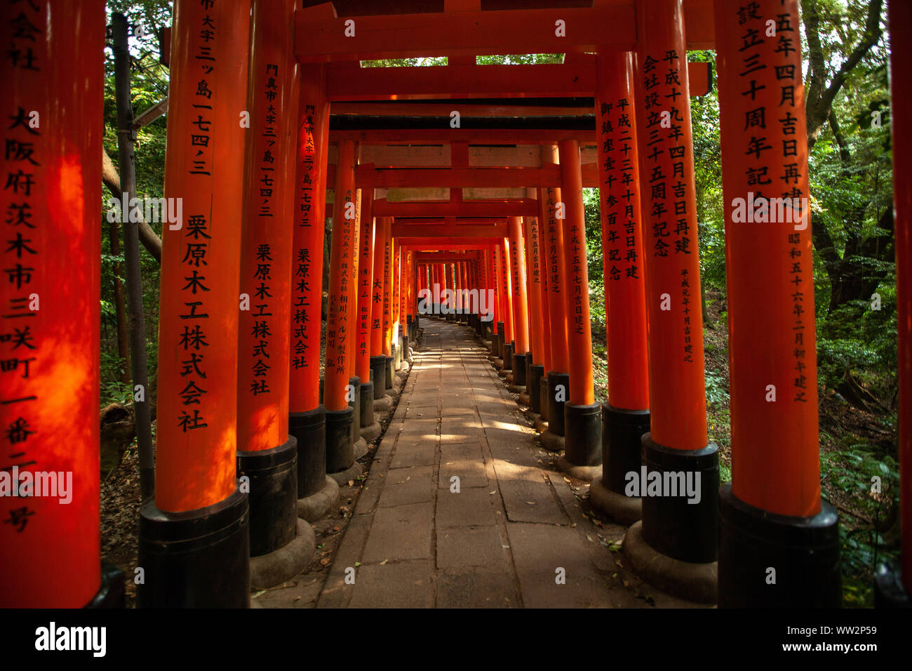 Orange torii gates walkway Stock Photo