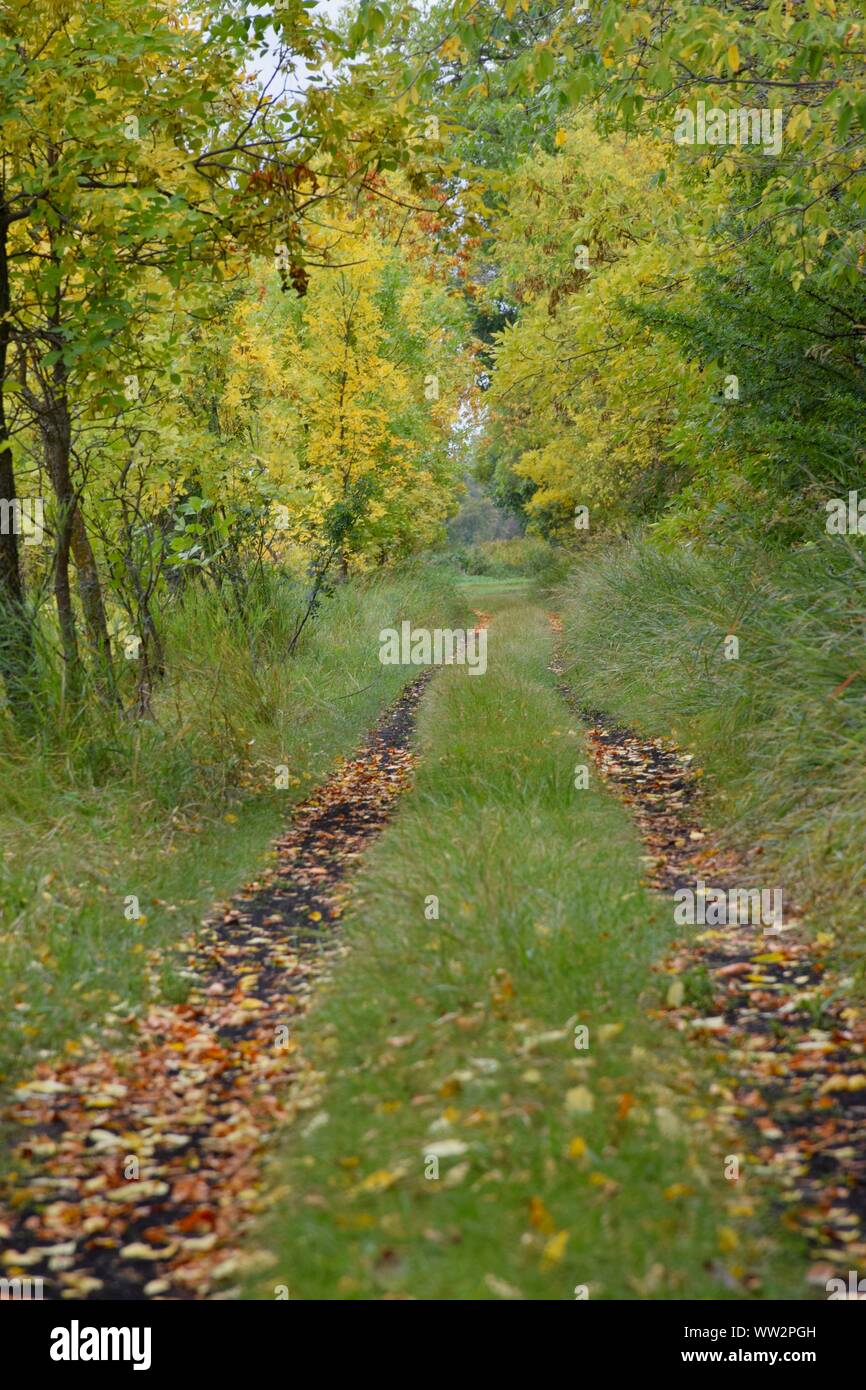Trail in the Fall Stock Photo - Alamy