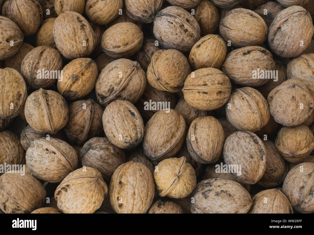 Walnut Shell High Resolution Stock Photography And Images Alamy