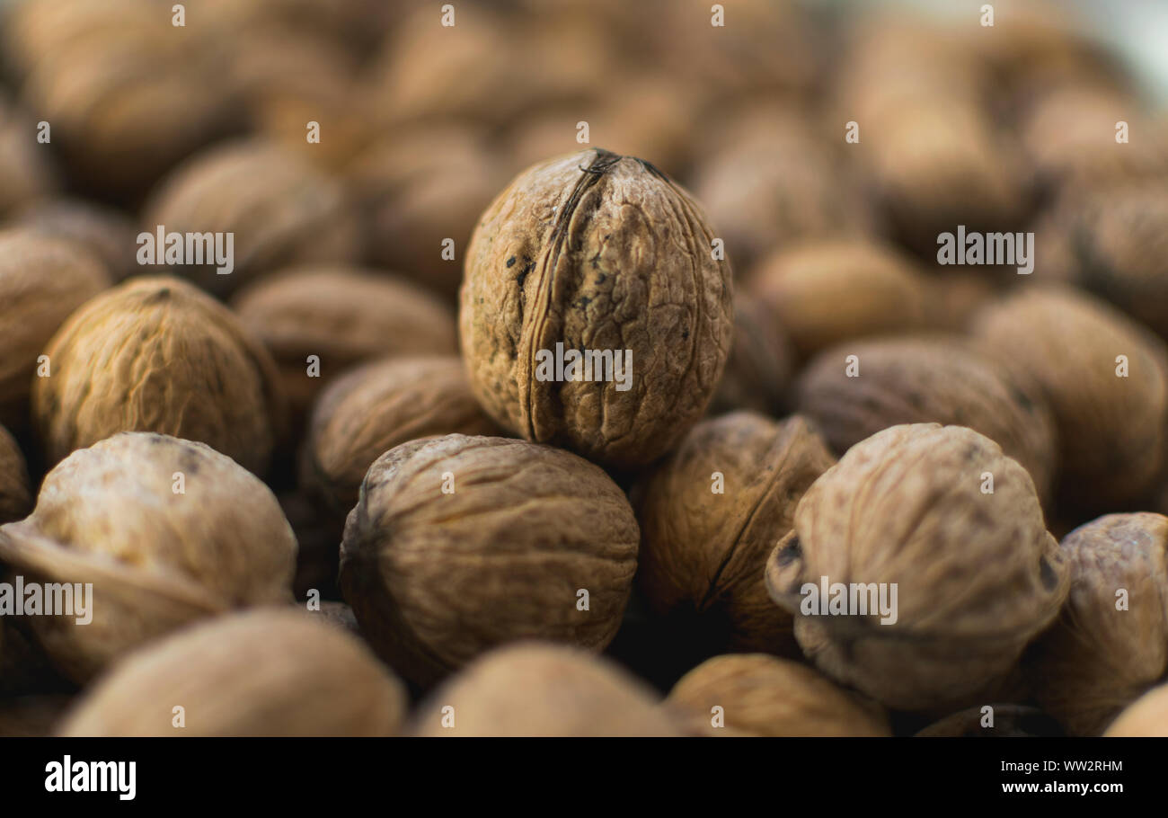 Fresh walnuts in shell. Selective focus photo. Stock Photo