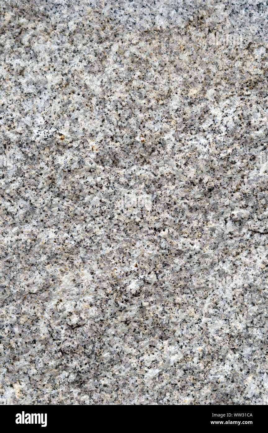 Abstract background, small gray and white spots Stock Photo Alamy