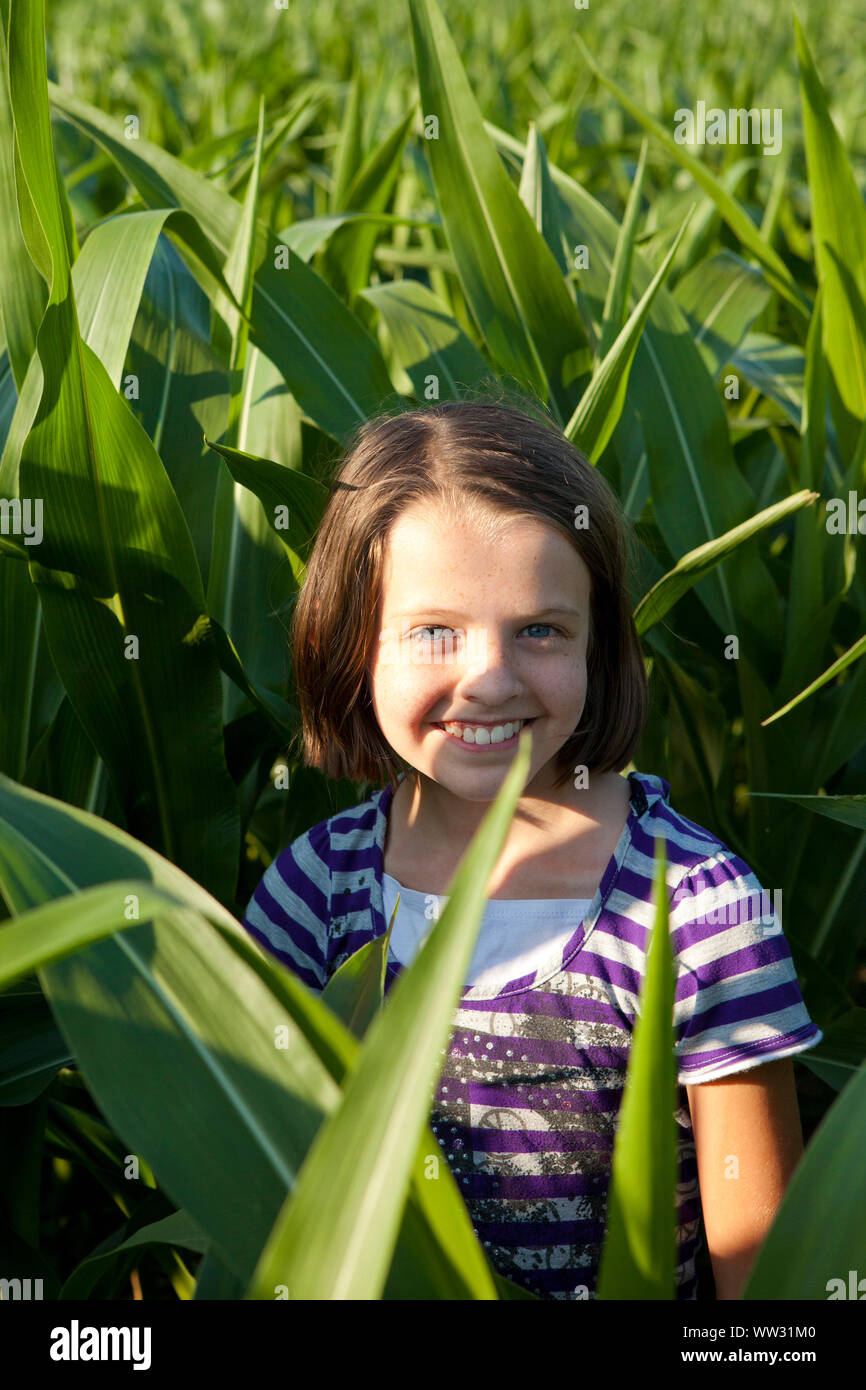 little girl standing in field of corn Stock Photo Alamy