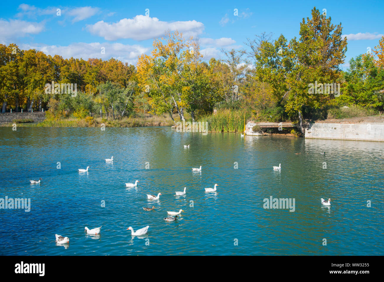 River Tajo. Aranjuez, Madrid province, Spain. Stock Photo
