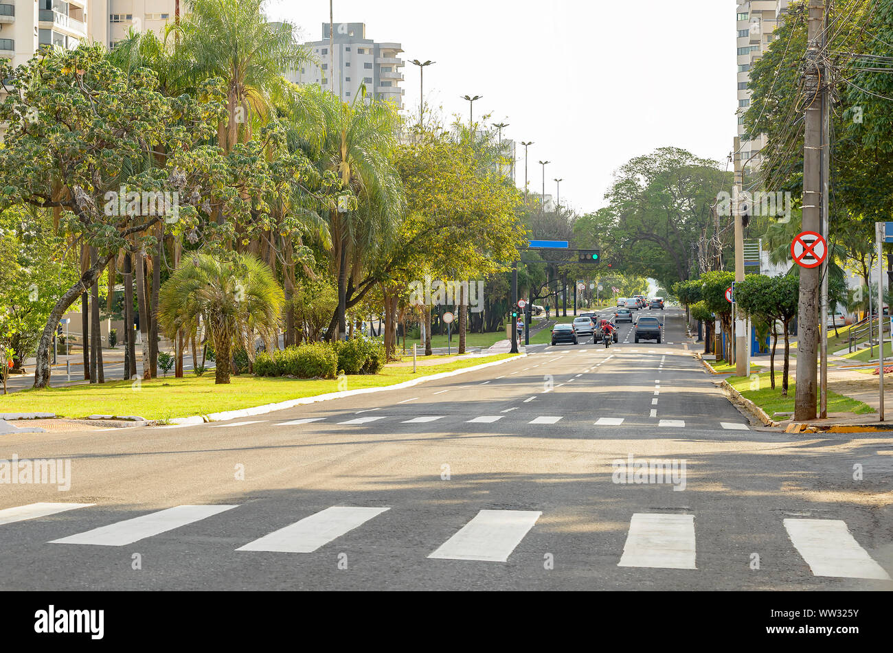 Lined-tree avenue with few cars on the street. Large avenue of a green city. Afonso Pena avenue at Campo Grande - MS, Brazil. Stock Photo