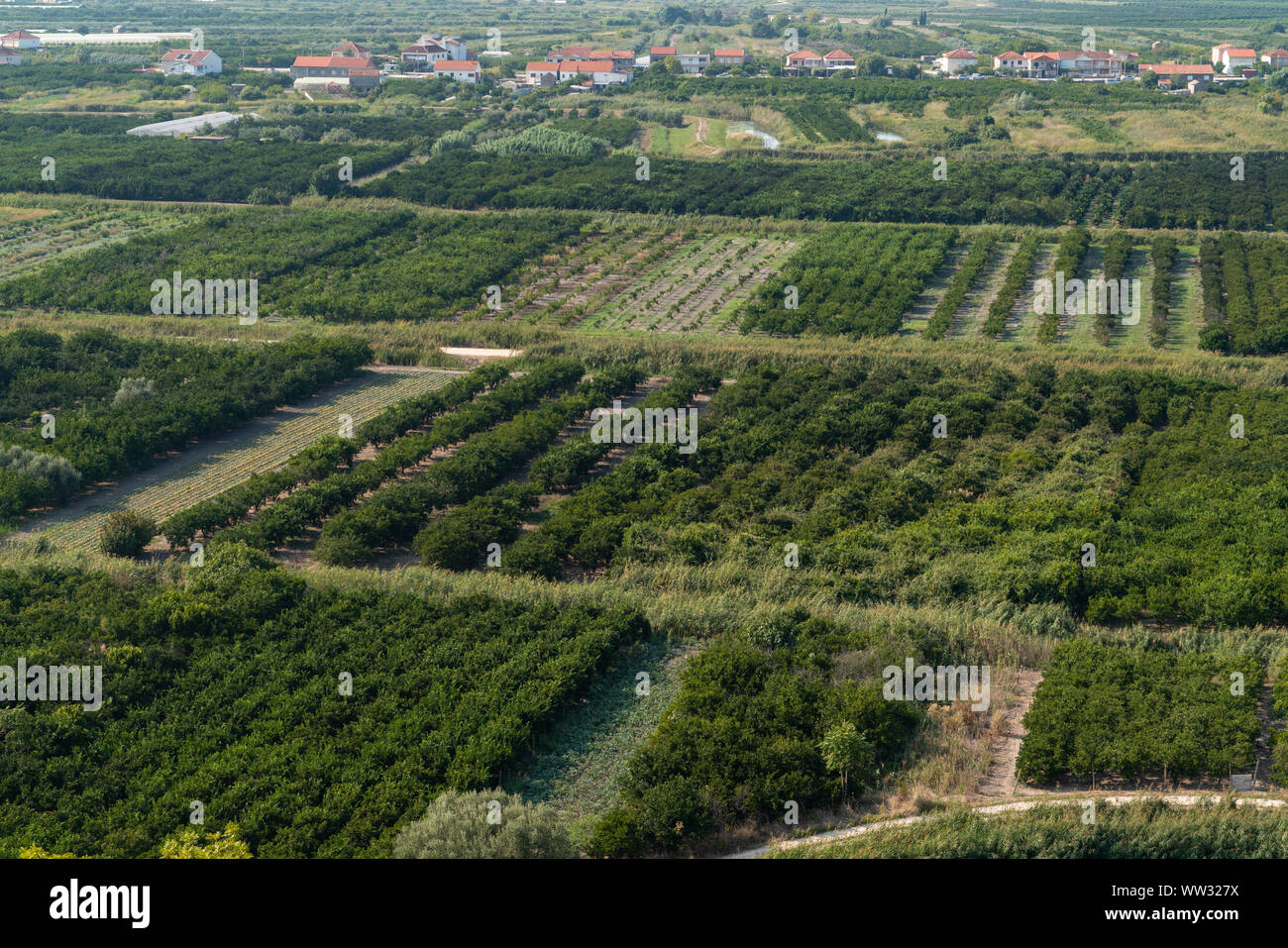 Top view of agricultural land. Valley of fields and fruit farms with