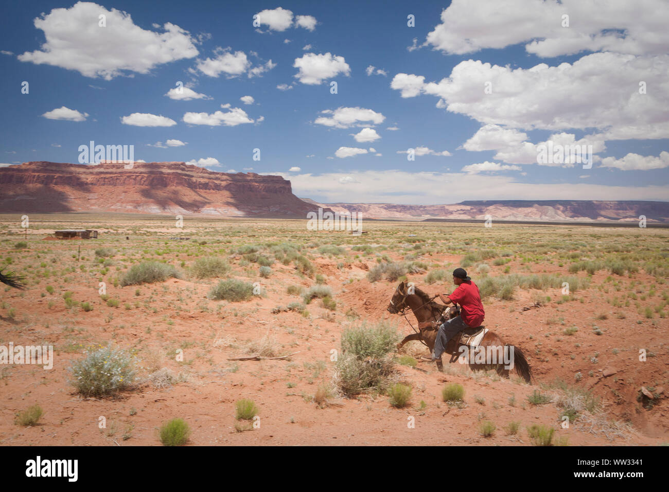 Navajo indian horse hi-res stock photography and images - Alamy