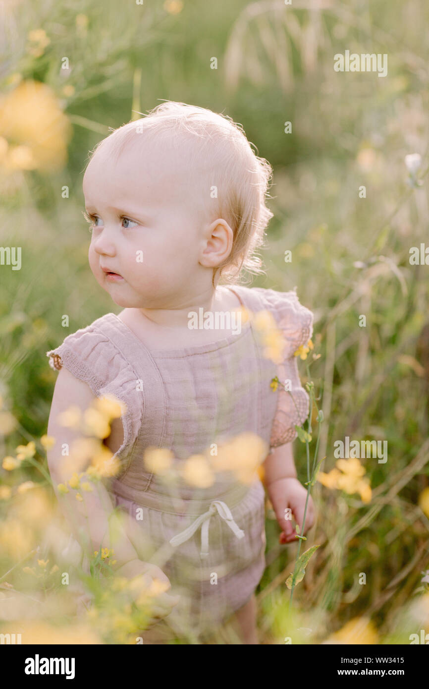 Toddler Girl in Field Stock Photo