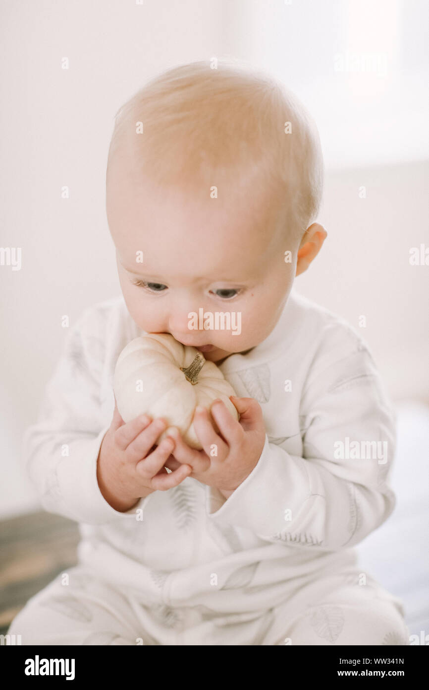 Baby Chewing on White Pumpkin Stock Photo