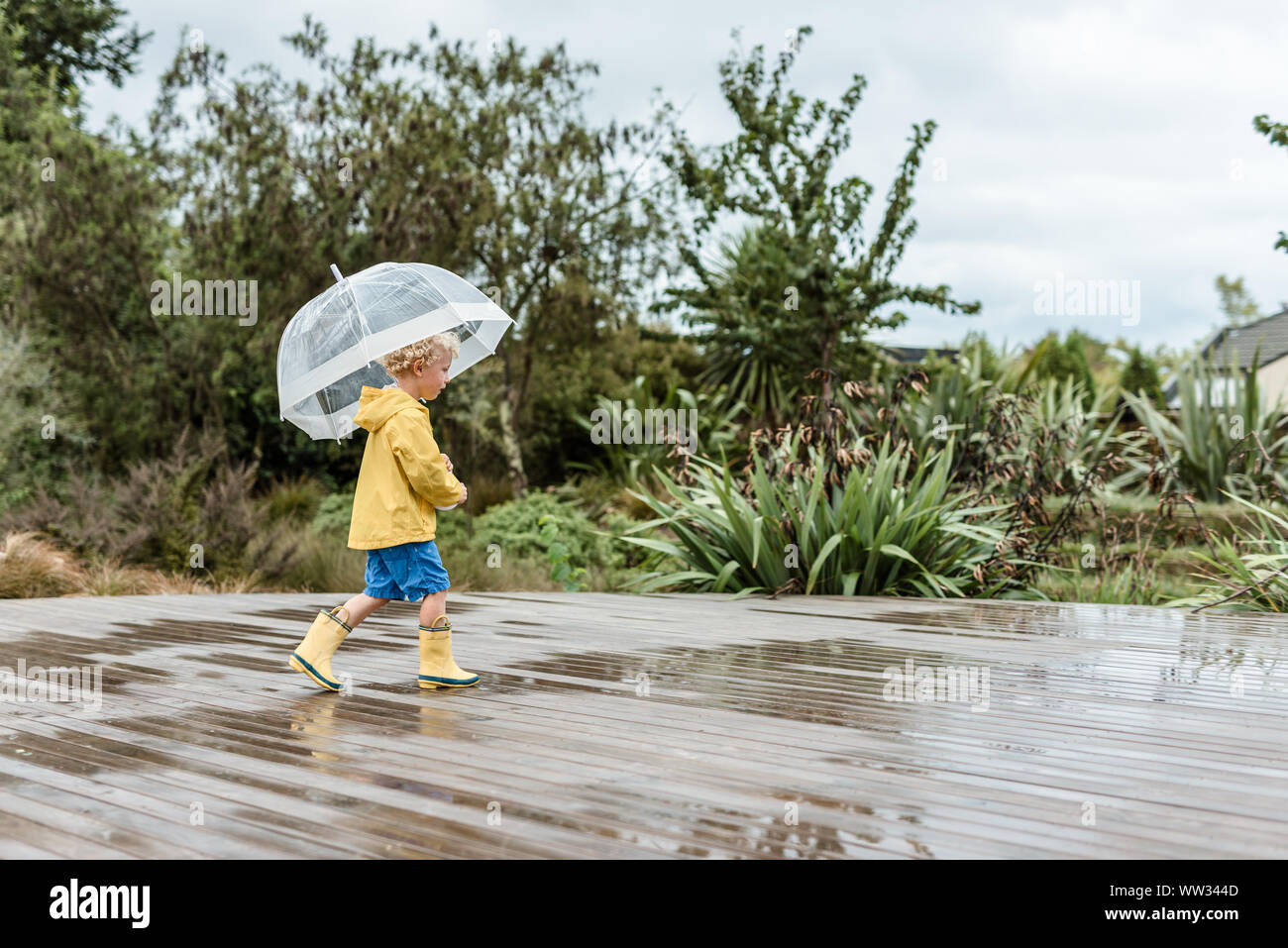 Preschooler holding an umbrella splashing in puddles Stock Photo