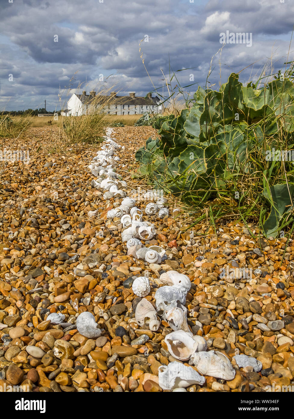 White Shell Line on Shingle Beach Created by Two Cancer Survivors Over a Decade Ago Stock Photo