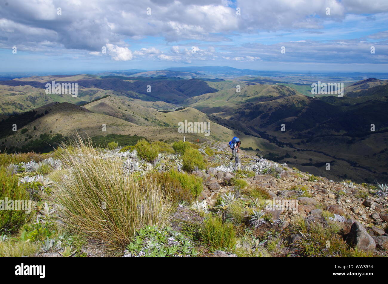 Female Thai backpacker. Te Araroa Trail. Takitimu Track. Southland