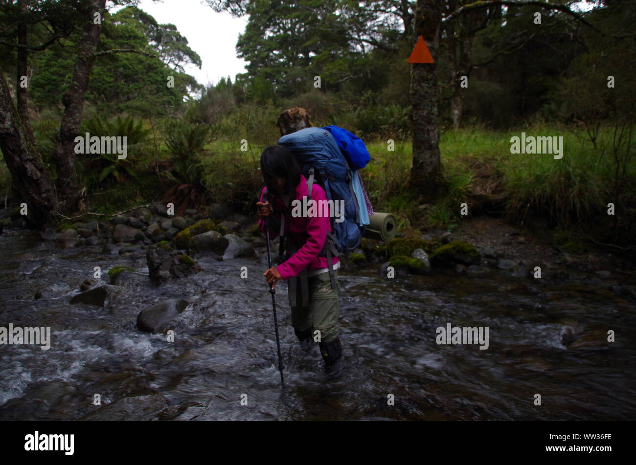 Female Thai backpacker. Te Araroa Trail. Takitimu Track. Southland
