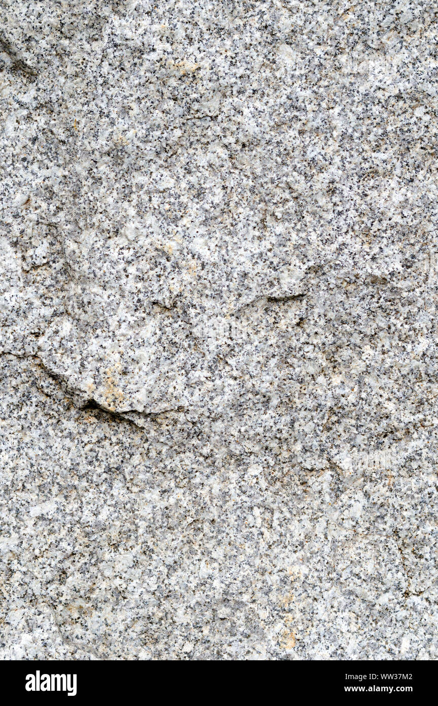 Abstract background, small gray and white spots Stock Photo Alamy