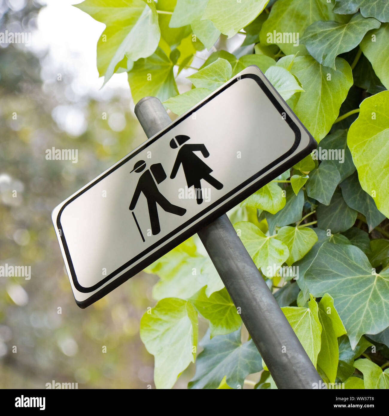 Walking in the woods - Sign indicating isolated on white Stock Photo