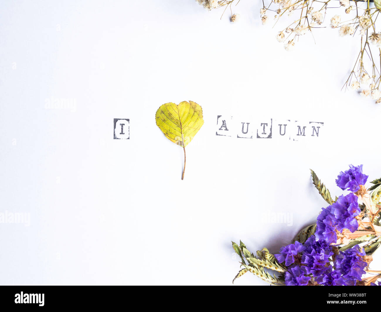 An autumn leaf with heart shaped and flower. I love autumn concept ...