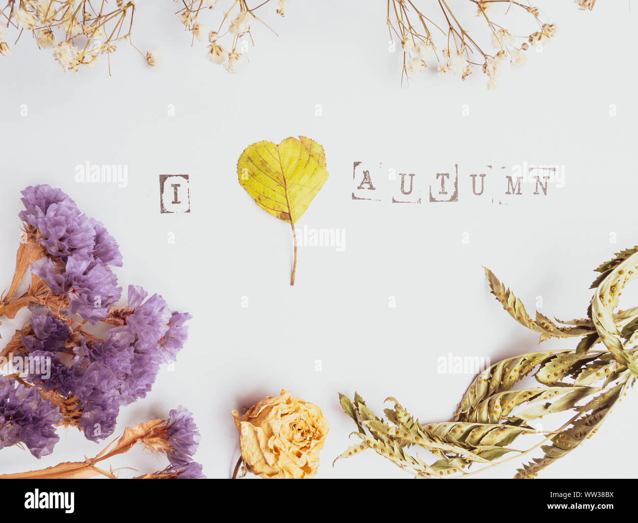 An autumn leaf with heart shaped and flower. I love autumn concept ...