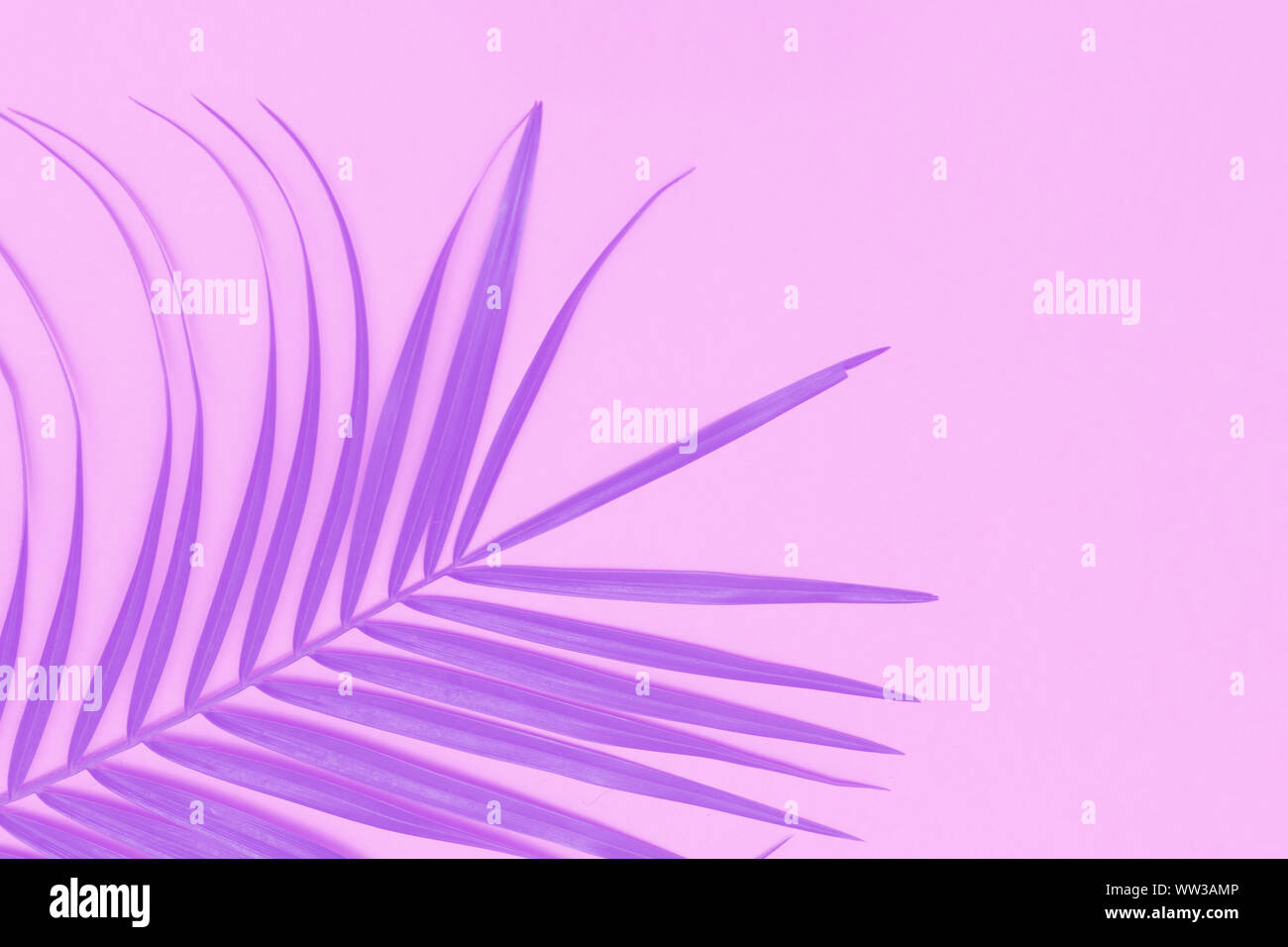 Abstract tropical nature colored background Stock Photo
