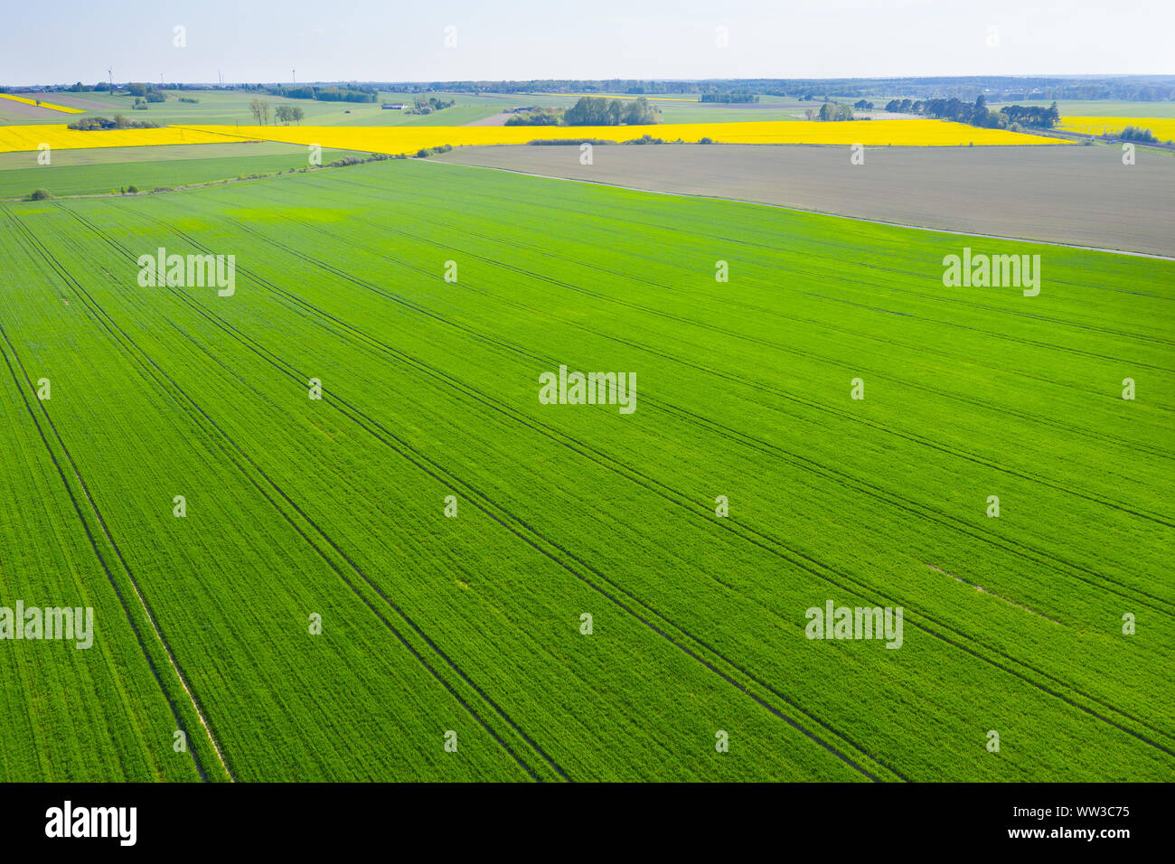 green meadow seen from above Stock Photo