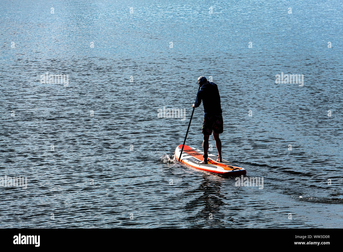 Man boarding on paddleboard, Cape Cod, Massachusetts, USA. Stock Photo