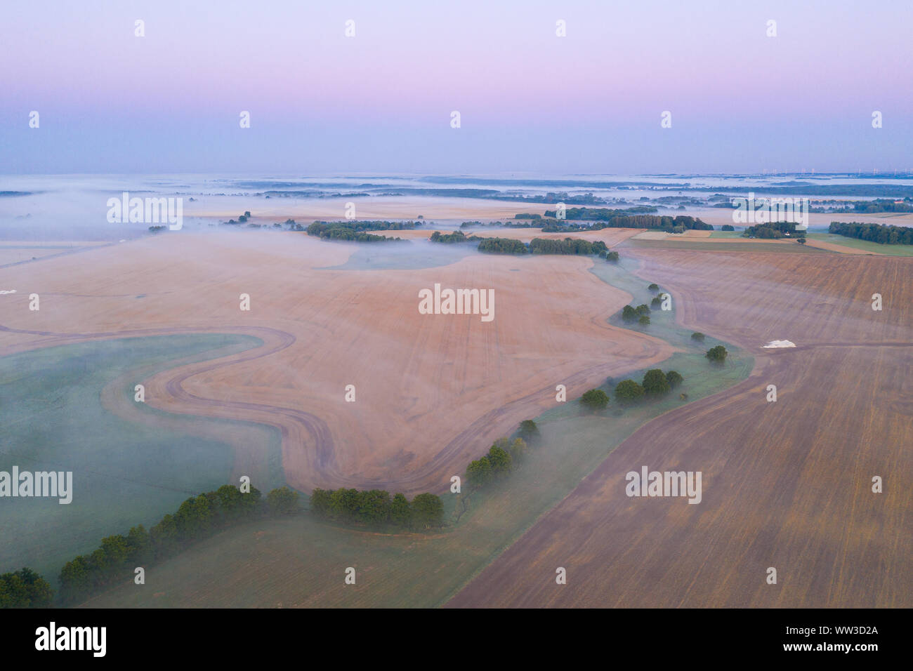 fog in the fields in the morning. bird's-eye view Stock Photo