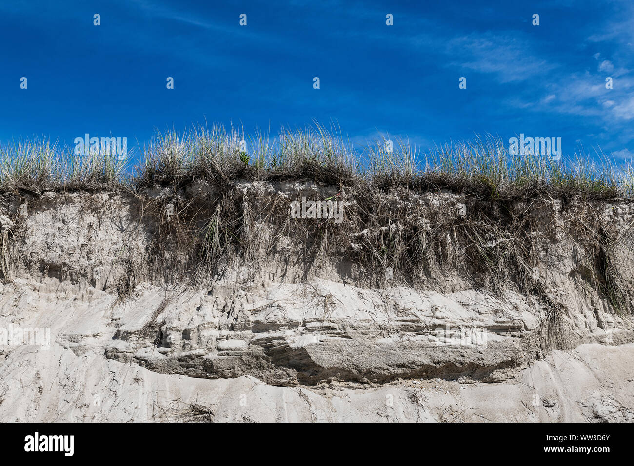 Dune erosion due to coastal storm damage, Chatham, Cape Cod, Massachusetts, USA. Stock Photo