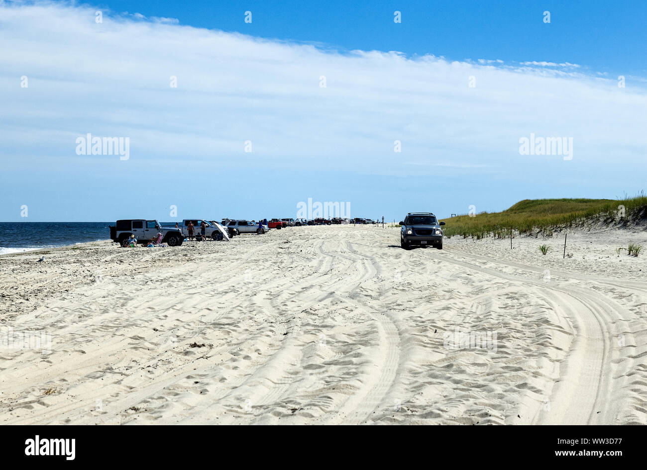 Permitted vehicles allowed to drive on the Nauset Beach, Orleans, Cape Cod, Massachusetts, USA. Stock Photo