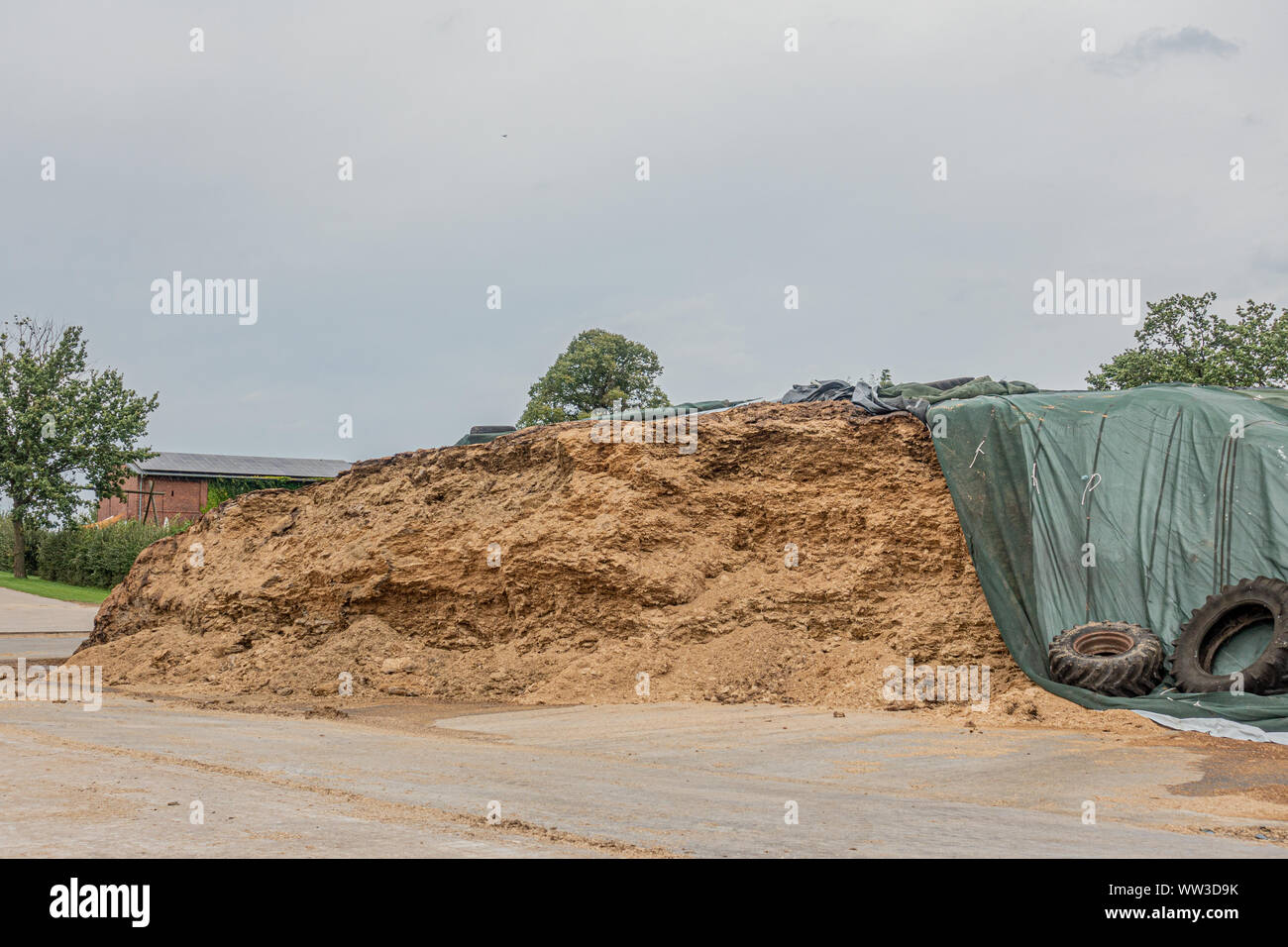 on a farm there is a huge mountain of fodder silage Stock Photo
