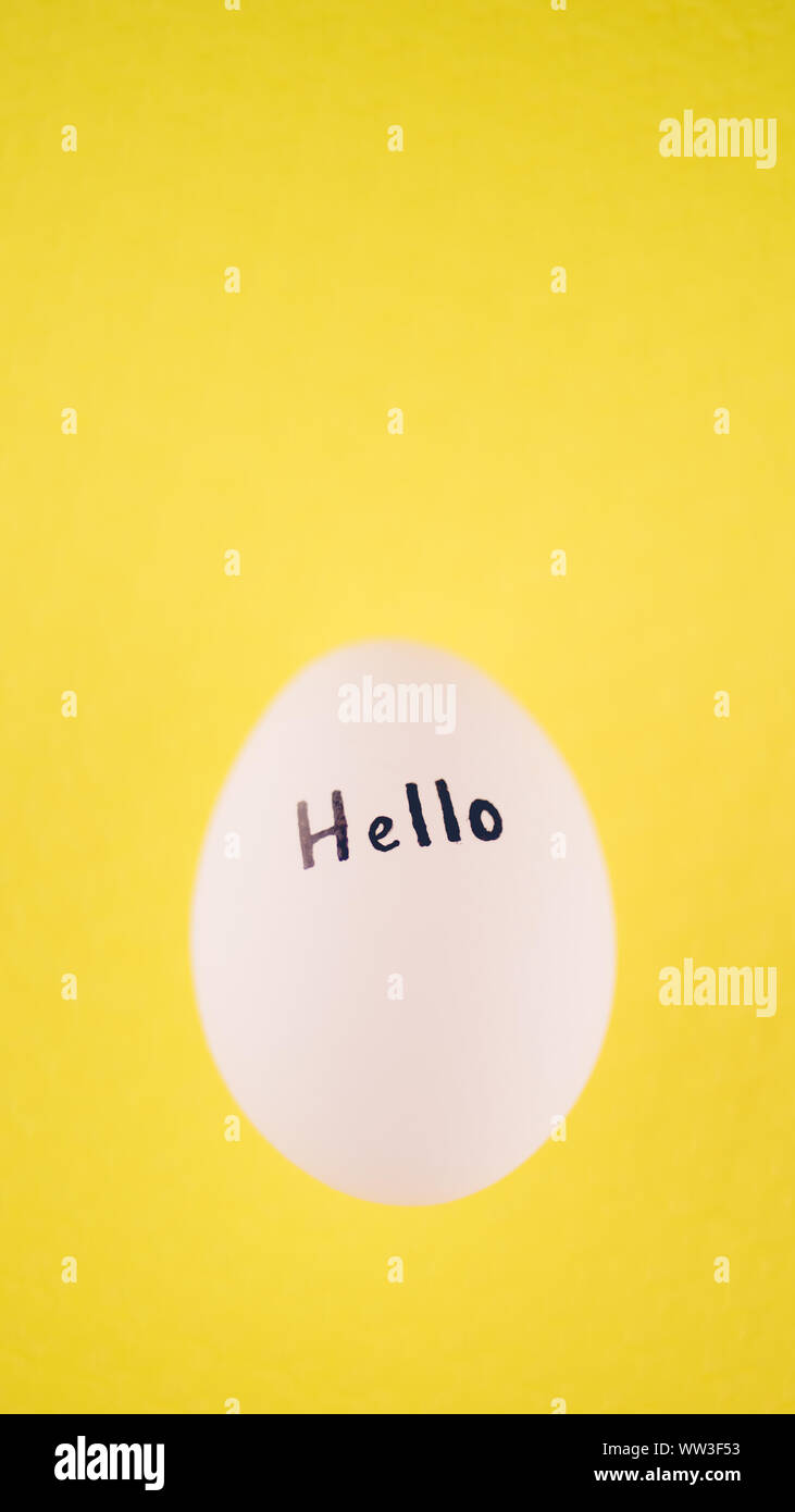 White chicken egg with black text hello on a yellow background. Stock Photo