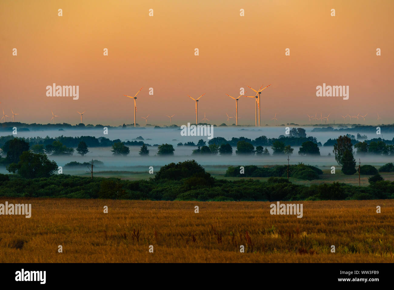 many wind turbines. Foggy morning Stock Photo