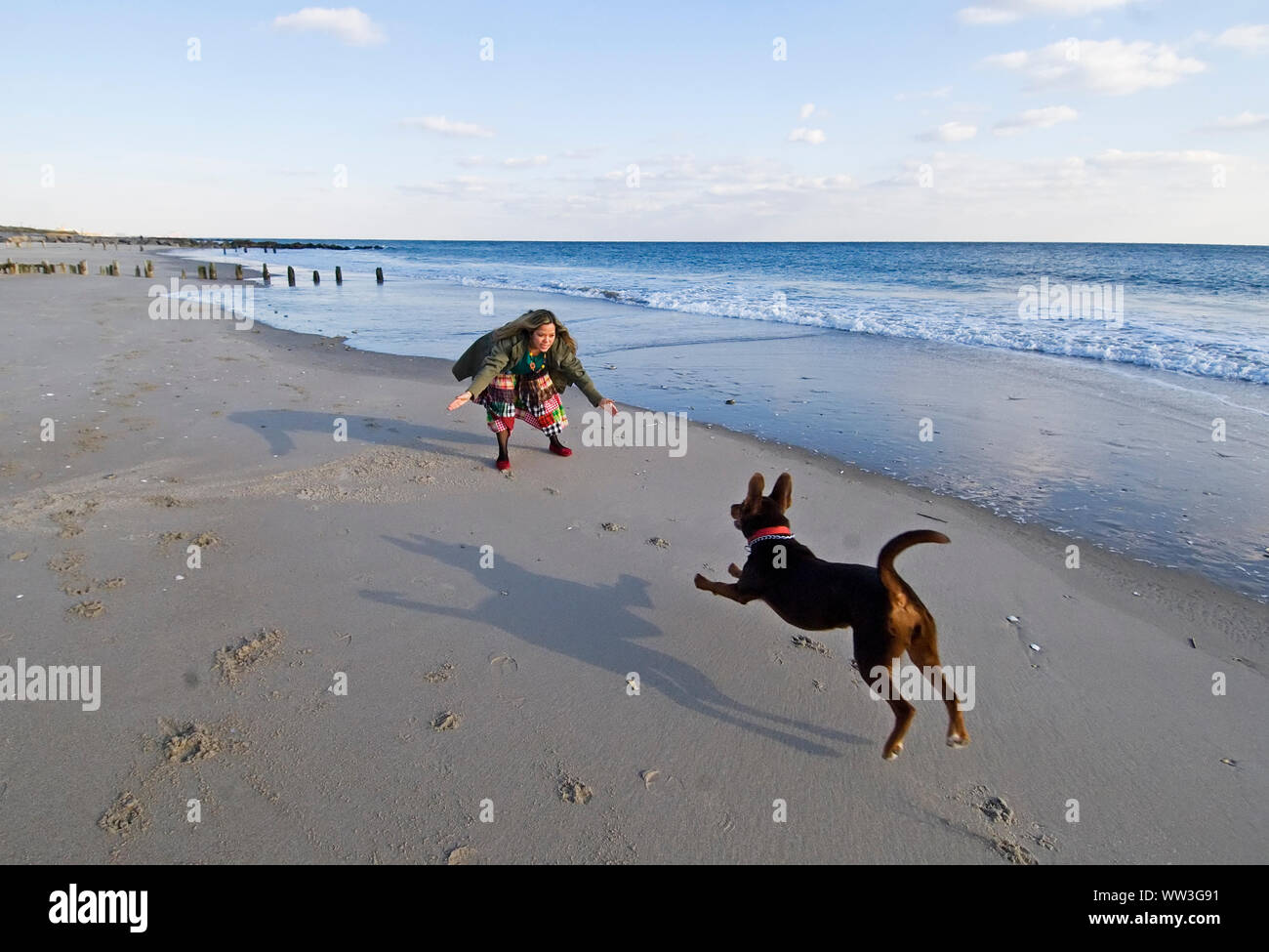 Young woman playing with dog at the beach Stock Photo