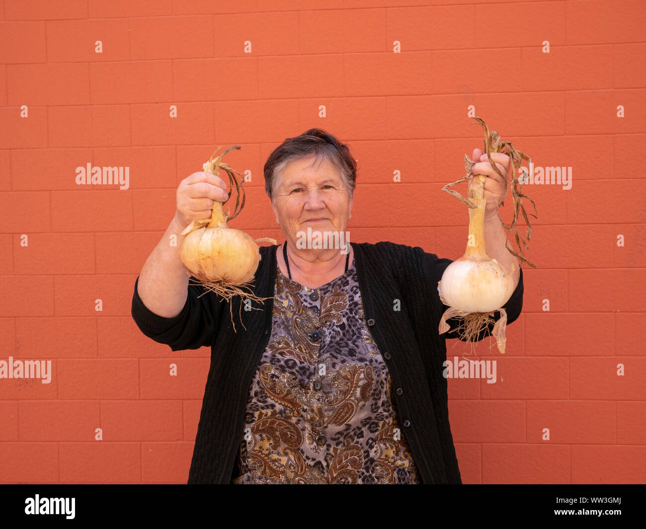 Old woman showing off her home grown onions, Galicia, Spain Stock Photo