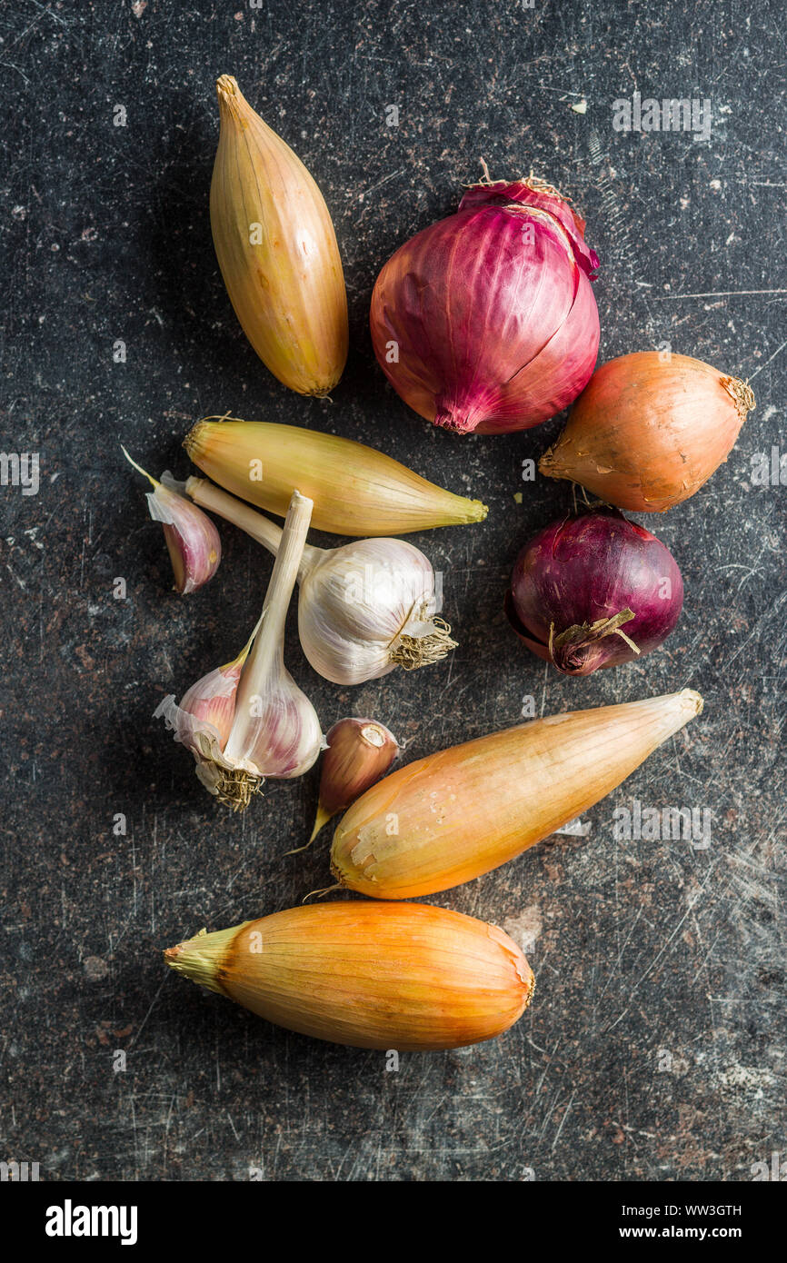 The golden shallot onion and garlic. Fresh bulbs. Top view Stock Photo