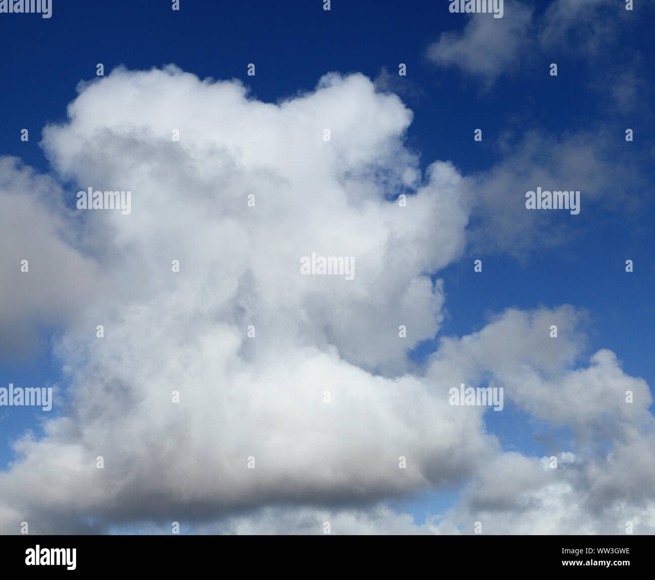 White, cumulus, cloud, clouds, blue sky, skies Stock Photo