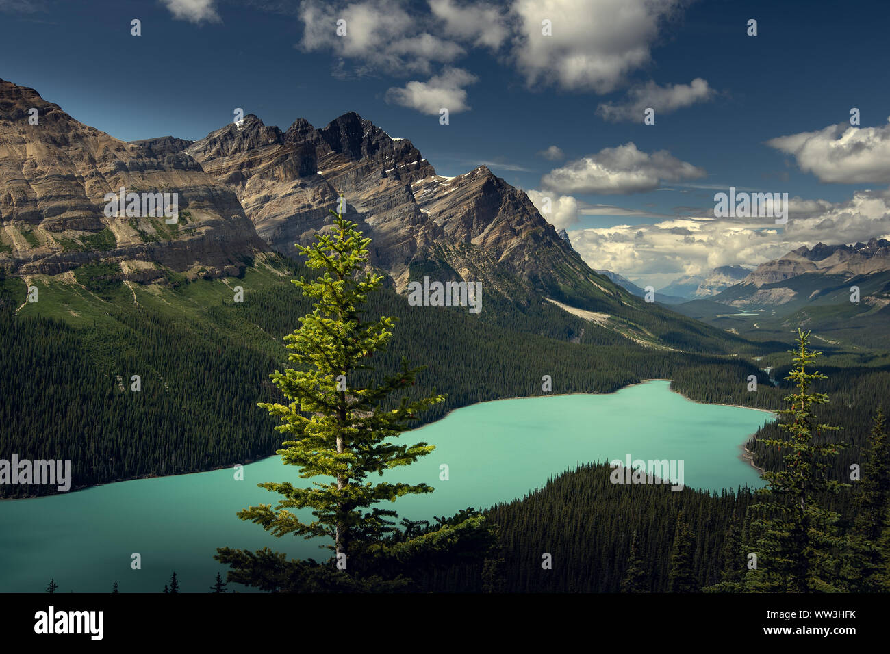 Beautiful Peyto Lake, Banff National Park, Alberta, Canada Stock Photo ...
