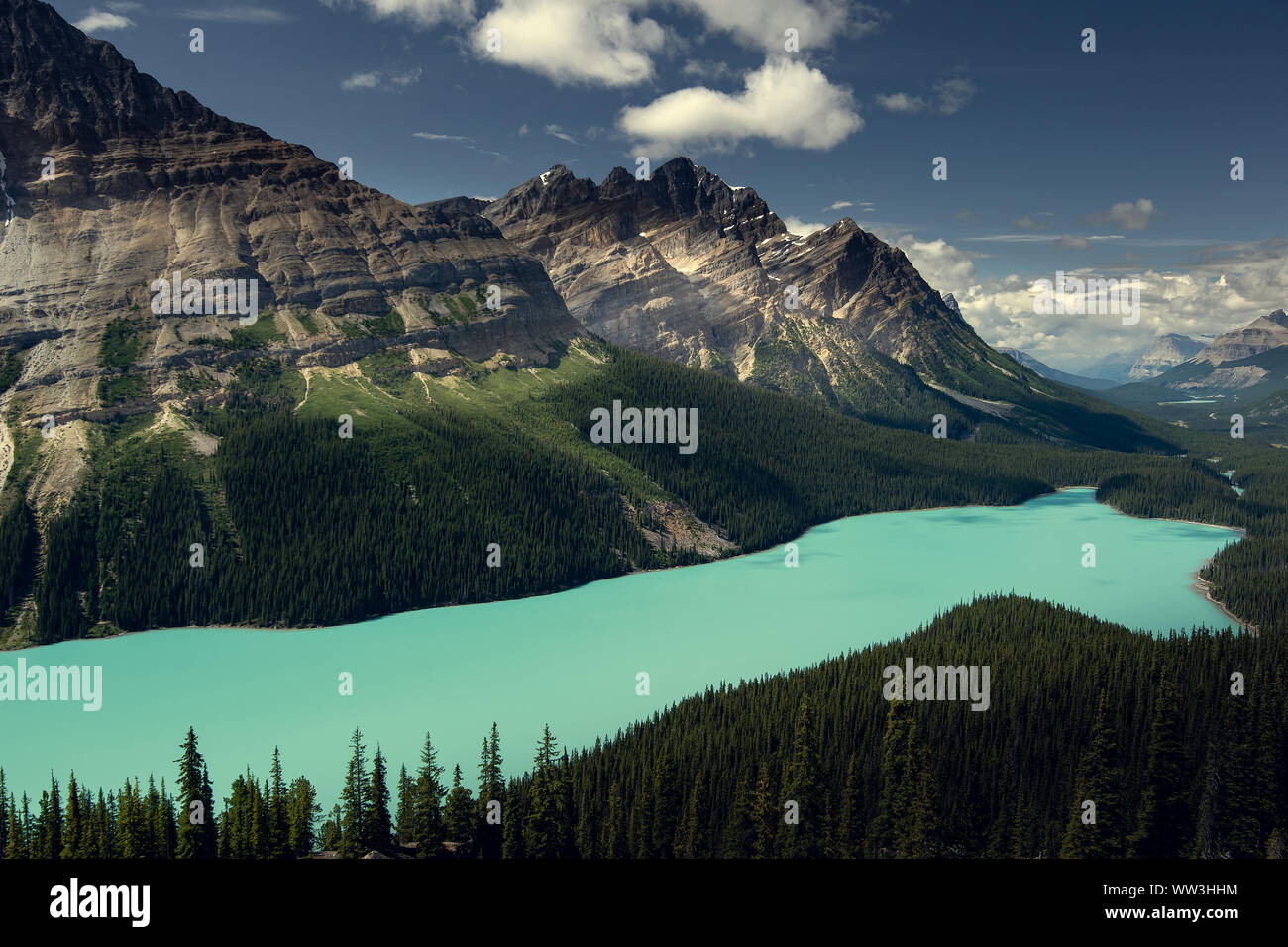 Beautiful Peyto Lake, Banff National Park, Alberta, Canada Stock Photo ...