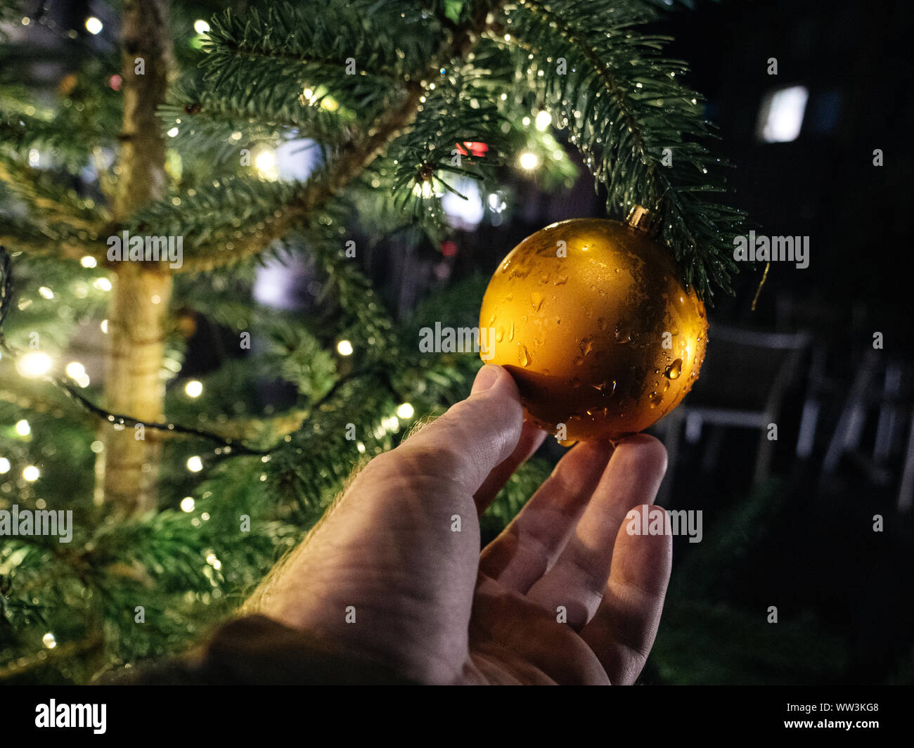 Man hand holding sparkling golden globe hanged on a tree with defocused blur bokeh in background Stock Photo