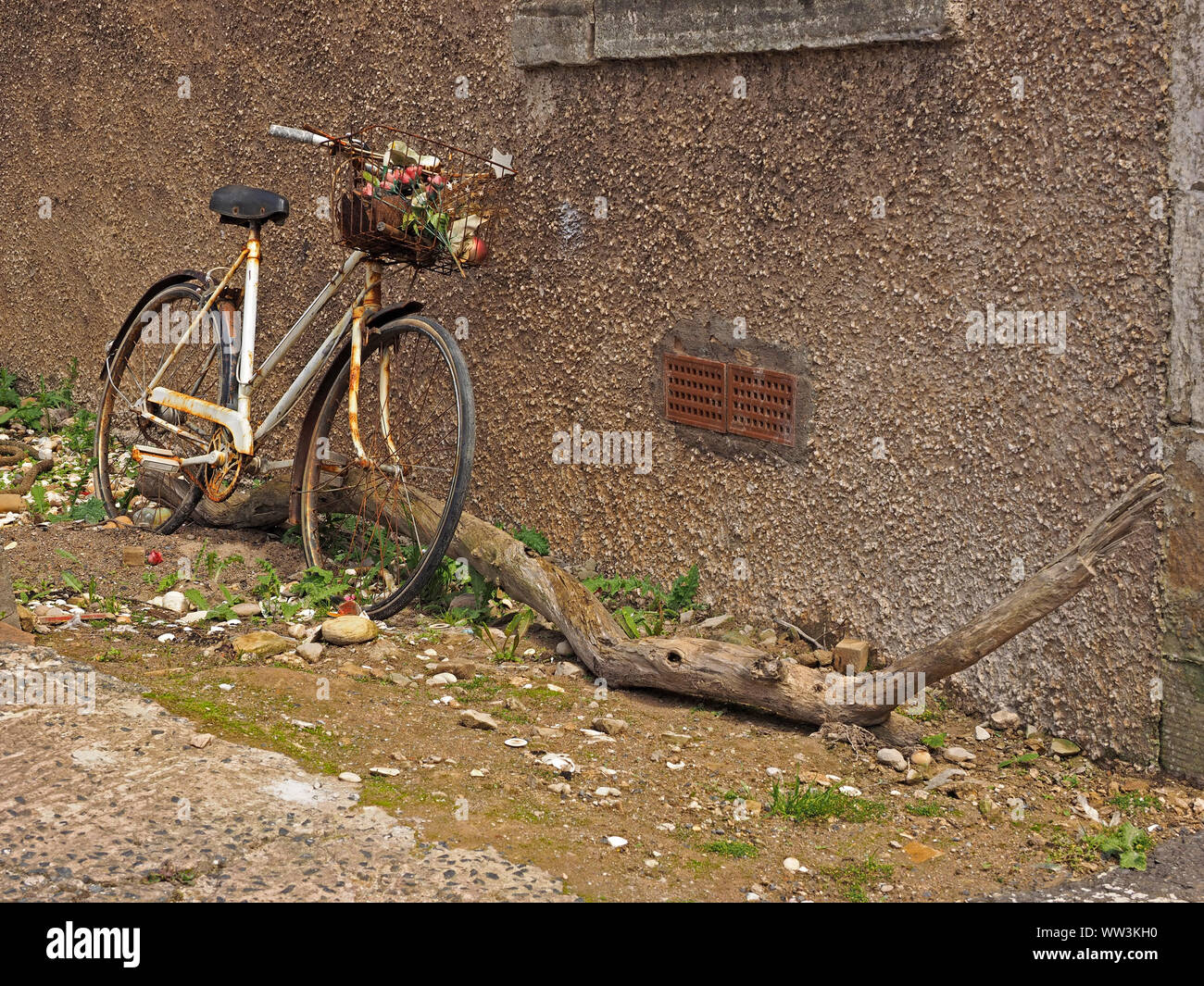 old bicycle leaning against pebbledashed wall with bleached log in the ancient fishing village of Pittenweem, East Neuk,Fife,Scotland,UK Stock Photo