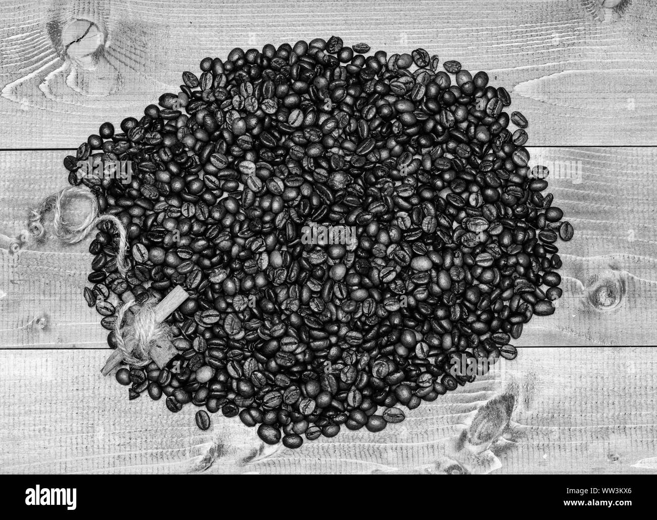 Degree of roasting coffee beans. Fresh roasted coffee beans. Coffee for