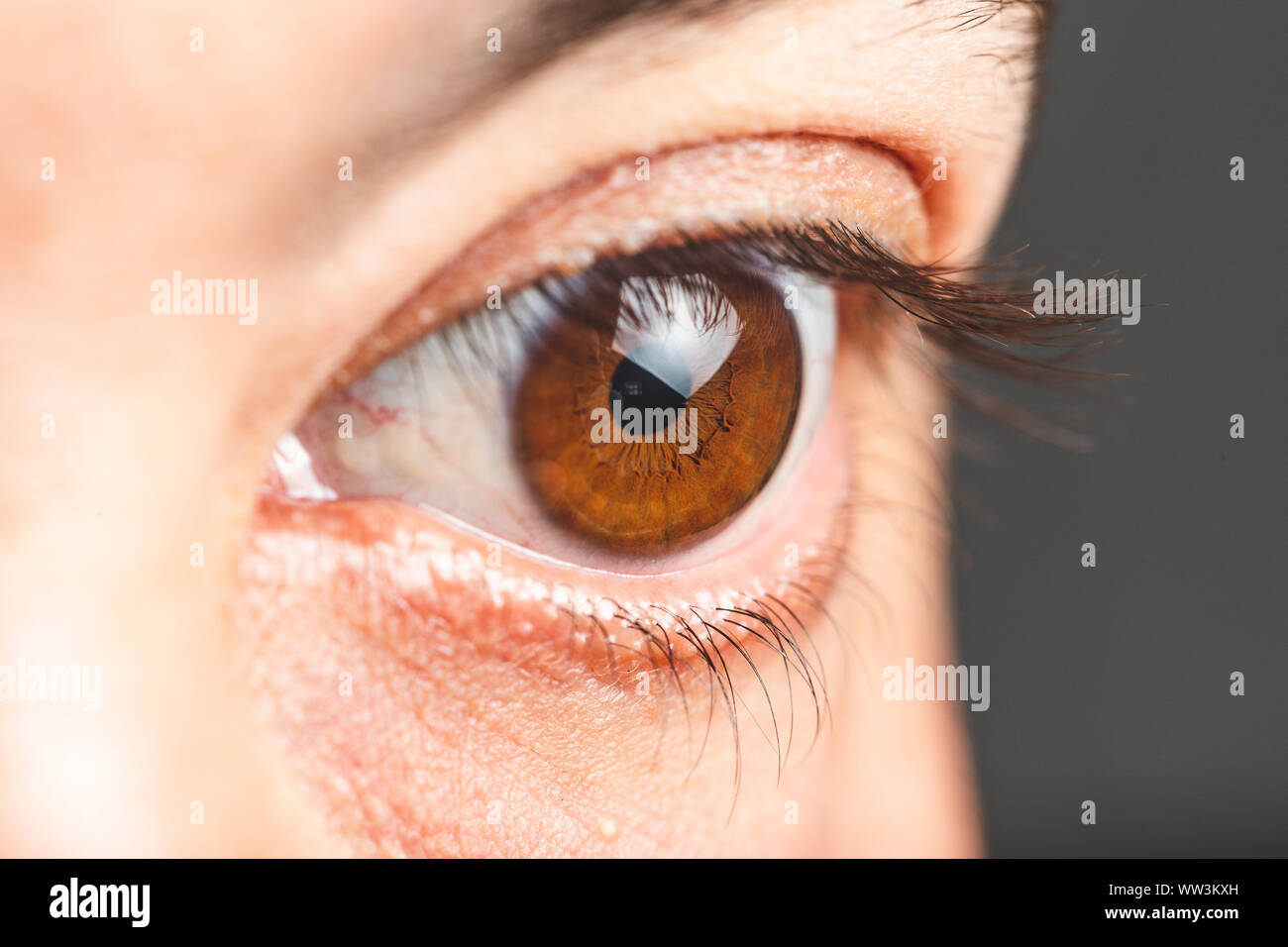 Macro image of human brown eye - close up view of man brown eye Stock ...