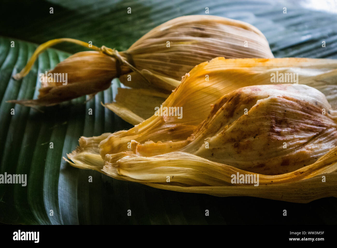 Chuchitos (Guatemalan Tamales) on Banana Leaf Stock Photo Alamy