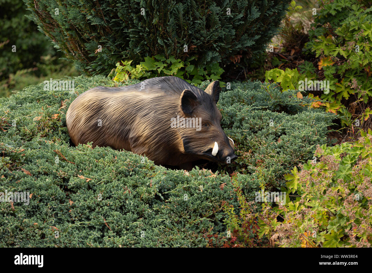 Wild Boar Statue High Resolution Stock Photography And Images Alamy Wild Boar Statue High Resolution Stock Photography And Images Alamy