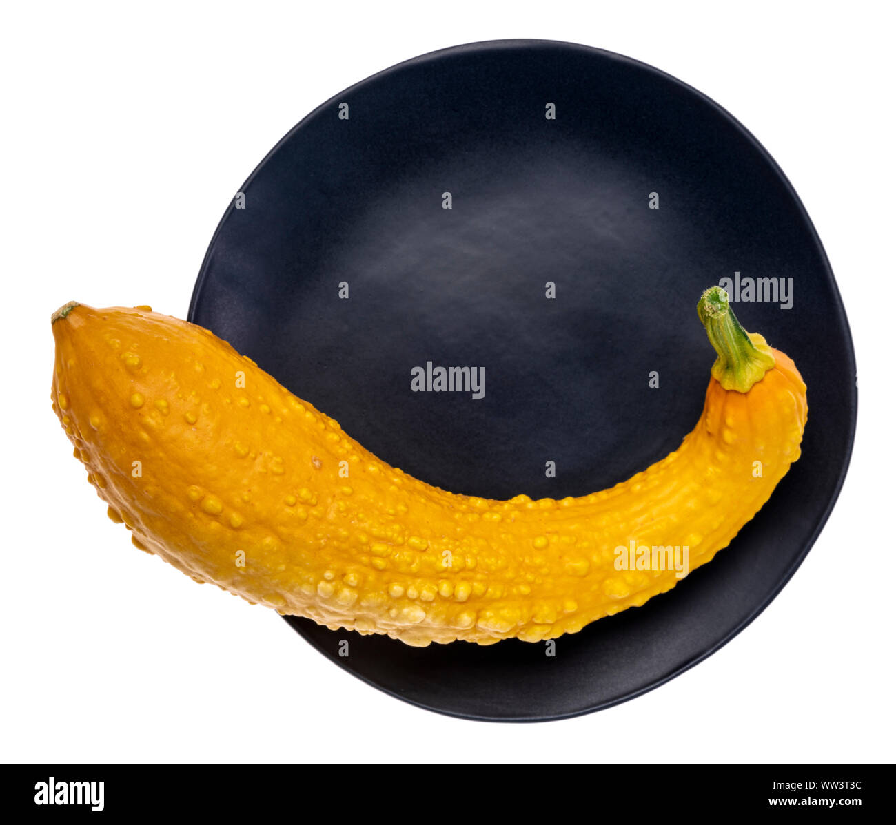 orange decorative gourd on an isolated black plate Stock Photo Alamy