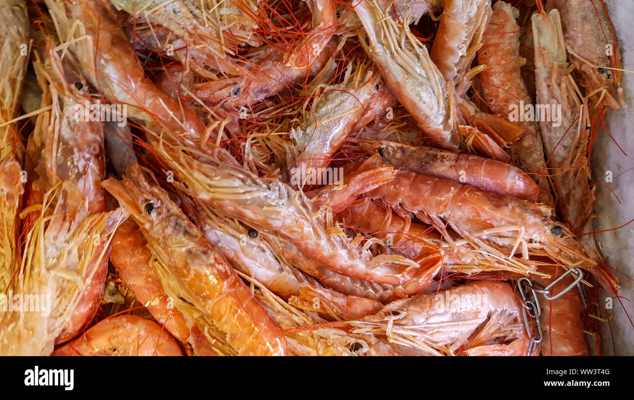 Top view of frozen shrimp in ice Stock Photo