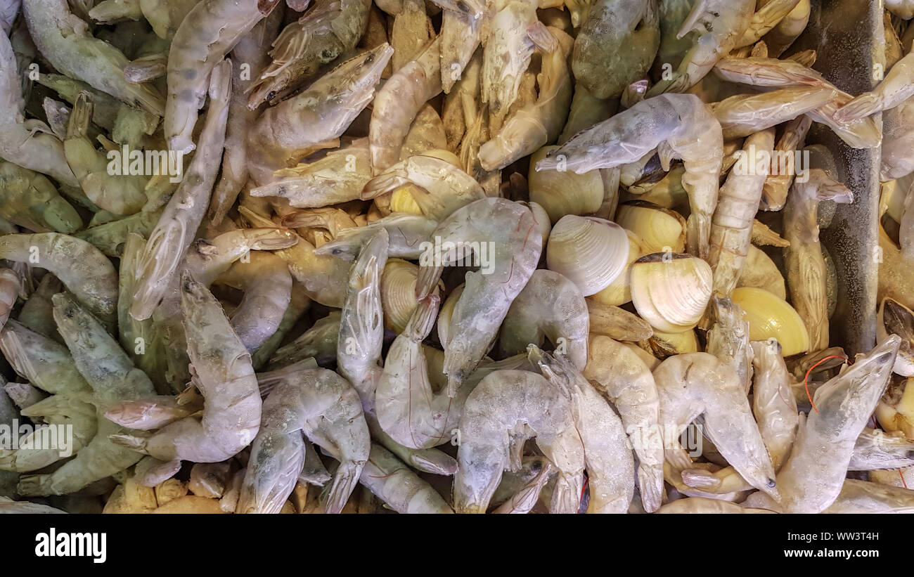 Top view of frozen shrimp and clams Stock Photo
