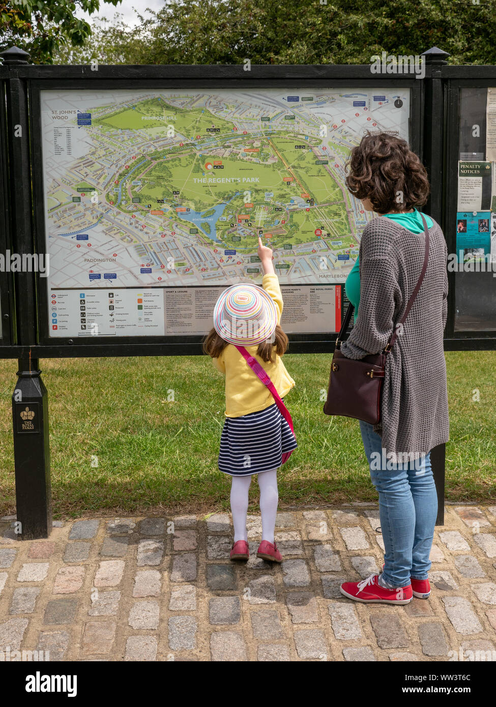 Small child pointing to map at Regent's Park, London, UK Stock Photo
